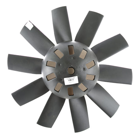 Fan Large